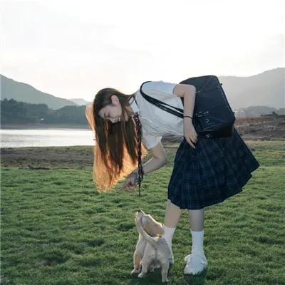 莫丽的朝圣